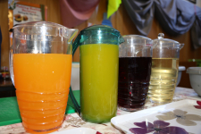 Health Fayre 2016 15